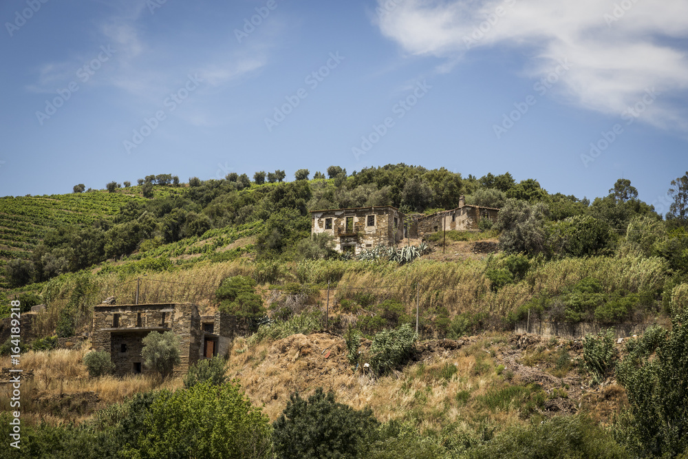 Fototapeta premium Vineyards in the Douro river region, in the town of Mesão Frio, portugal