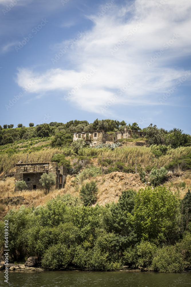 Fototapeta premium Vineyards in the Douro river region, in the town of Mesão Frio, portugal