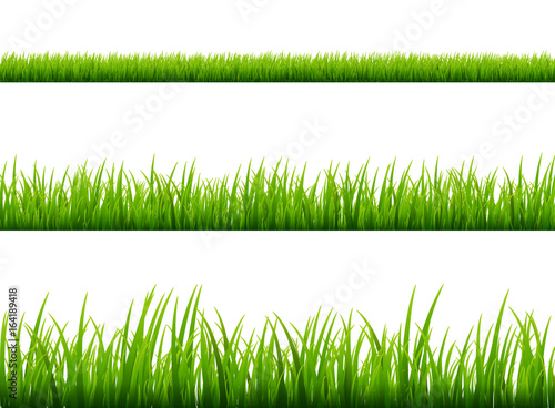Green grass meadow border vector pattern. Spring or summer plant field lawn. Grass background