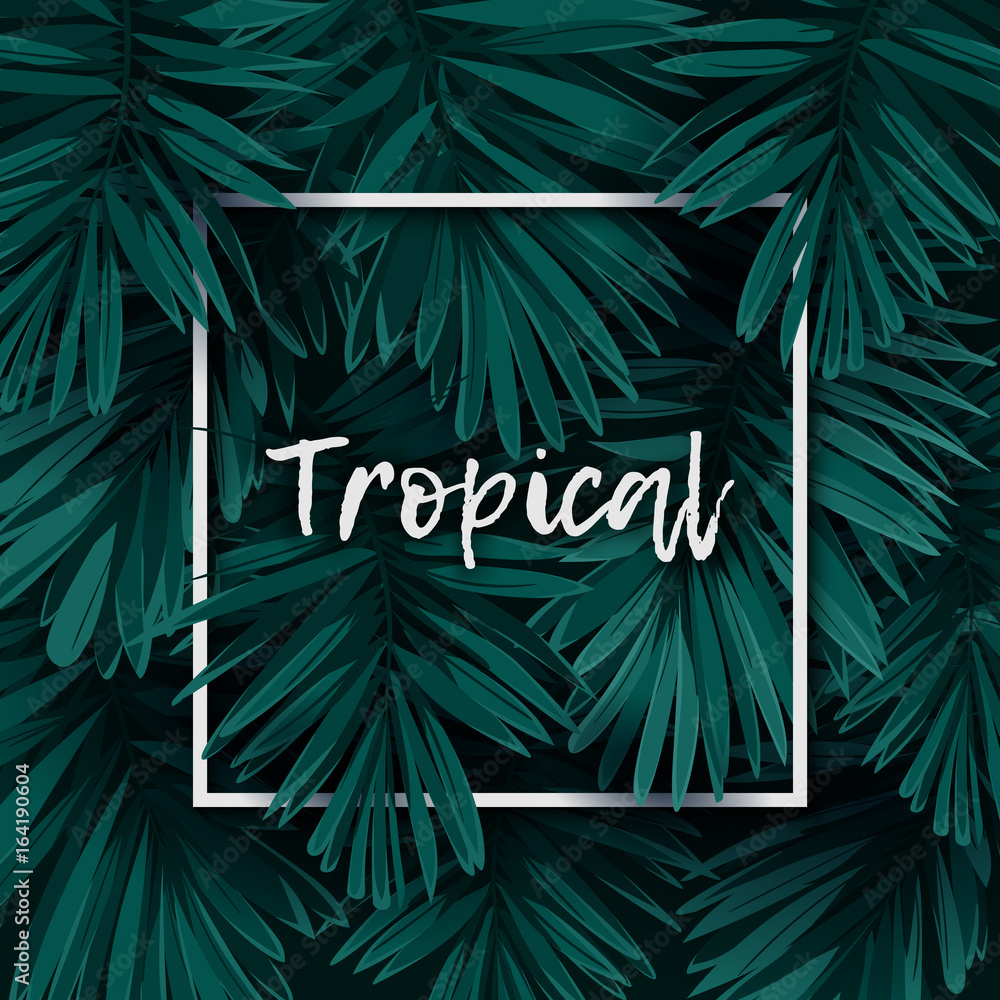 Fototapeta Dark green minimalistic vector design with exotic royal palm leaves.