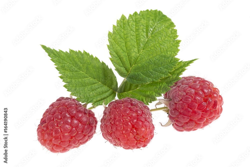 Bunch of a red raspberry isolated on white Bunch of a red raspberry isolated on white