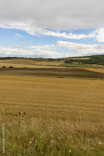 Straw field in the province of navarra, spain