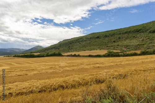 Straw field in the province of navarra  spain