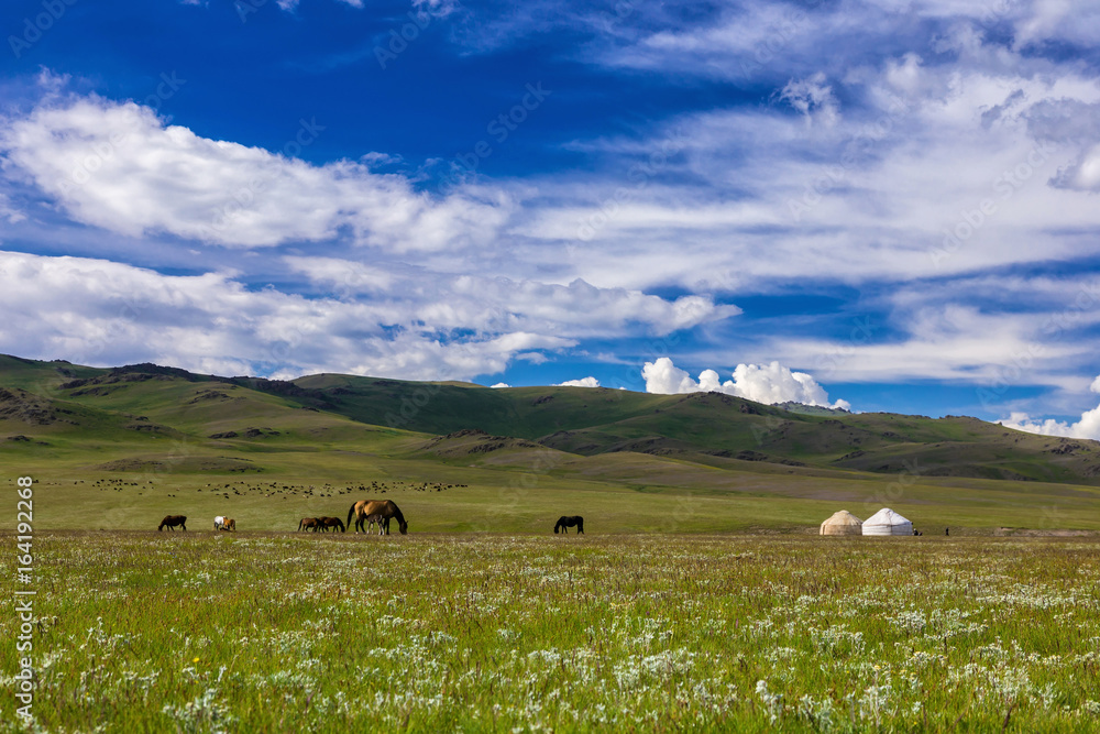 Traditional pasture in the high mountains. Kyrgyzstan.