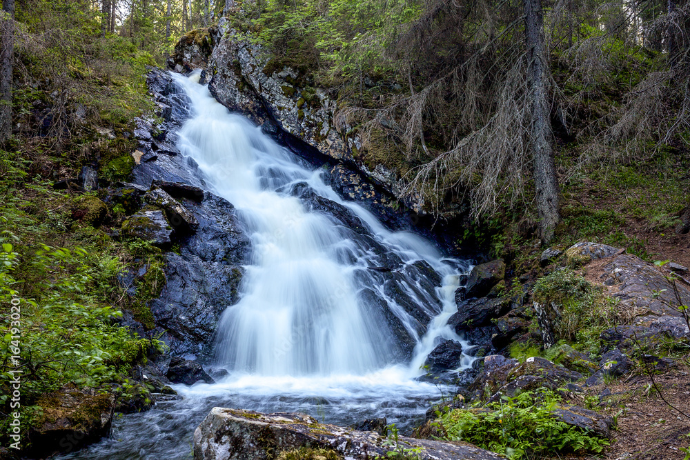 Waterfall in the forest Waterfall in the forest