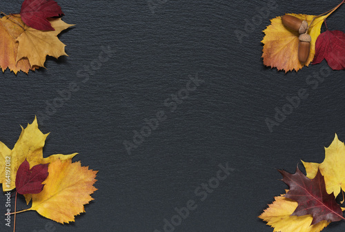 Autumn leaves on black back...