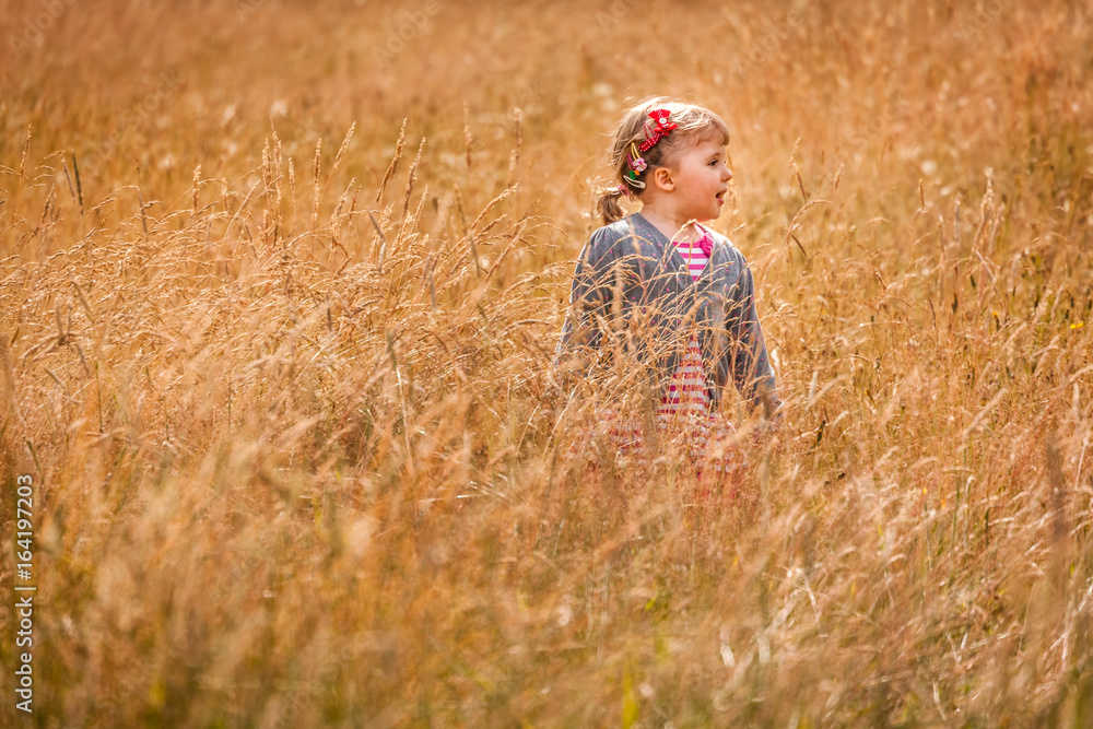 Little girl in the high grass