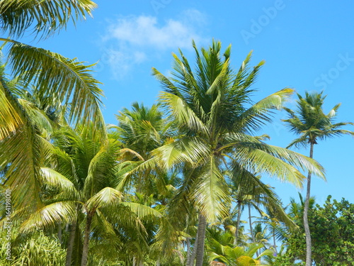 Ciel des antilles