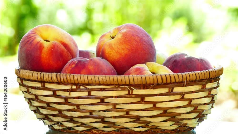 Ripe peaches in basket, tilt down, UHD Ripe peaches in basket, tilt down, UHD