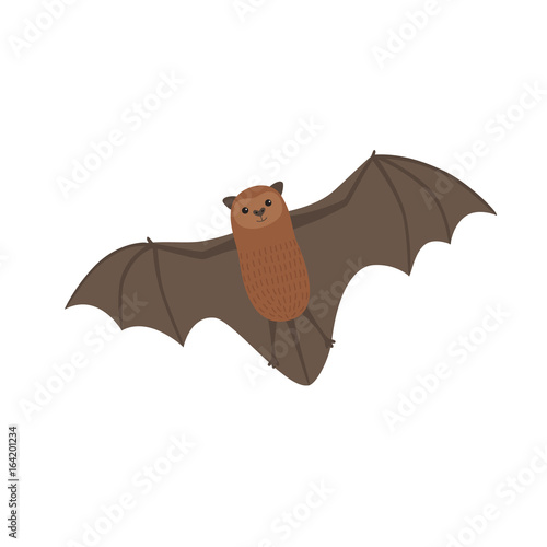Cute long tailed bat