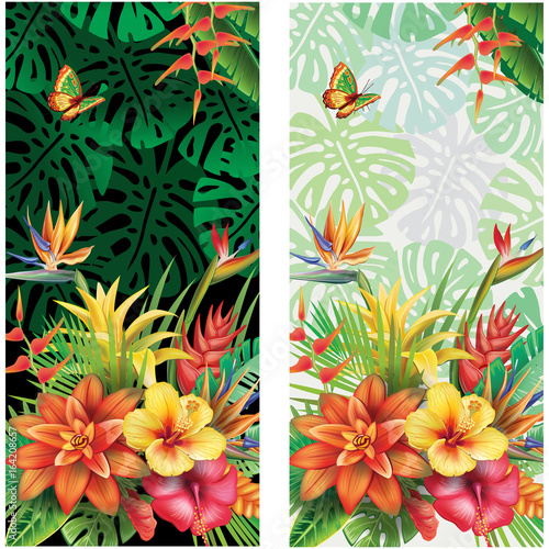 Cards from tropical flowers