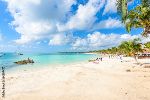 Akumal beach - paradise bay at turtle beach in Quintana Roo  Mexico - caribbean coast