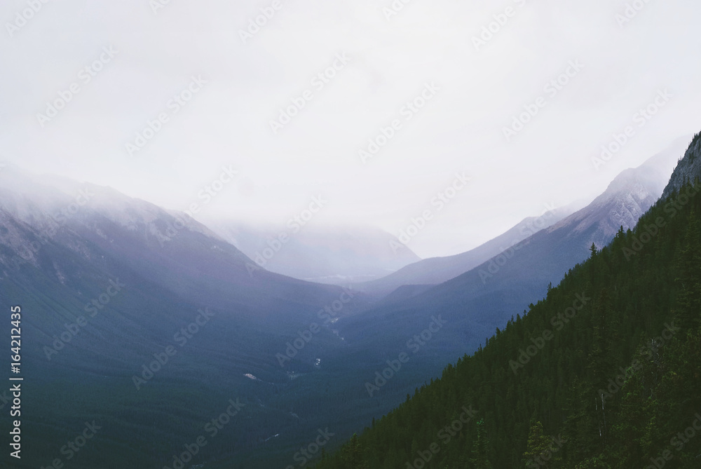Banff Views