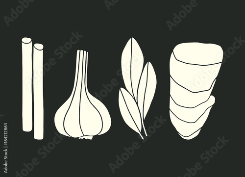 Set of vector spices. Hand drawn ginger, cinnamon, bay leaf, garlic. Cartoon food illustration for kitchen 