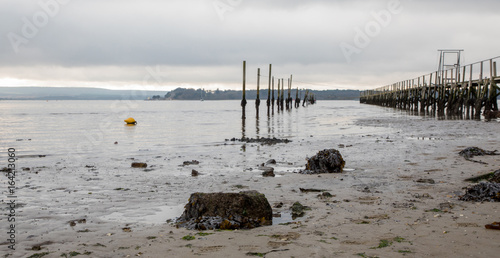 wooden jetty in harbour photo