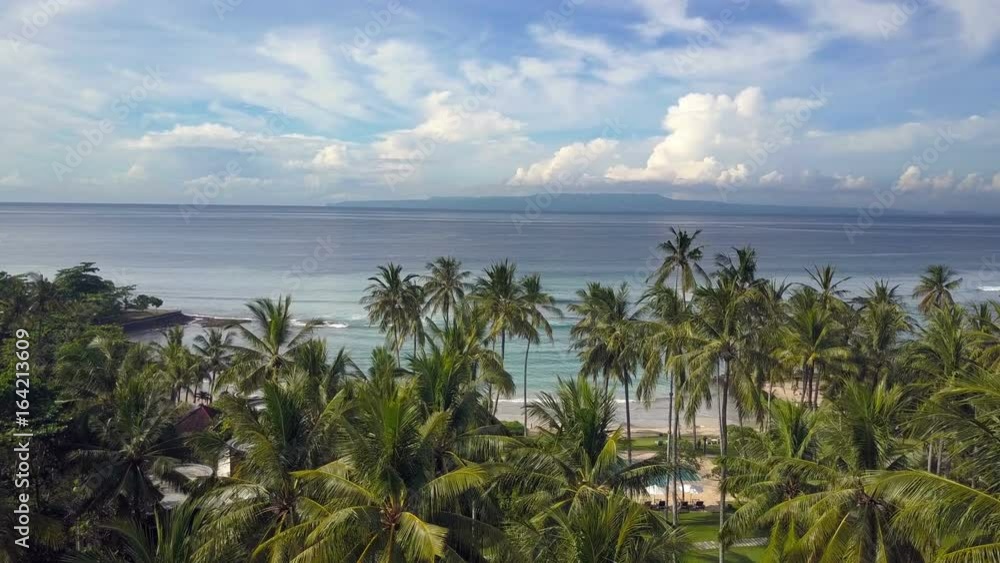 aero view from drone on sea, seashore , palm trees on beach , Bali, Indonesia aero view from drone on sea, seashore , palm trees on beach , Bali, Indonesia