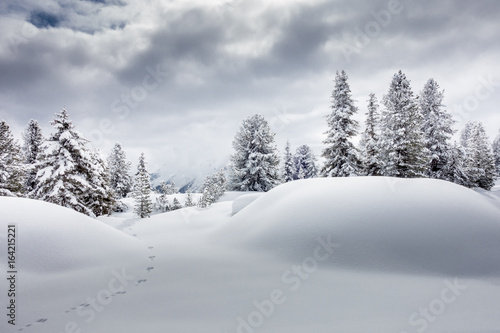 Schneespur im tief verschneiten Wald in Österreich © by paul