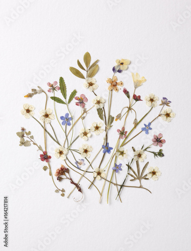 Vintage pressed dried flower decoration