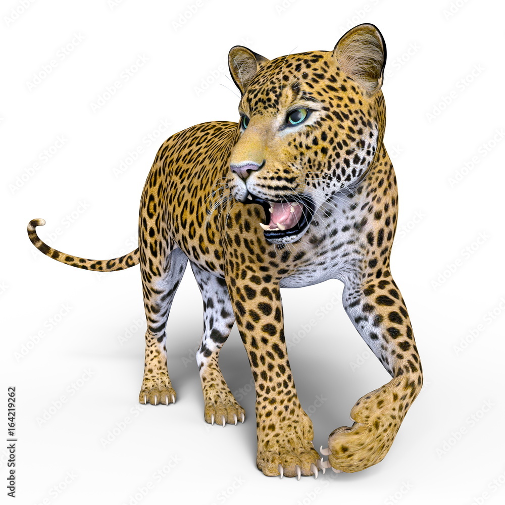 Obraz premium ヒョウ