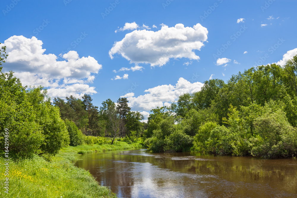 Fototapeta premium rural summer landscape with forest, river, blue sky and white clouds.