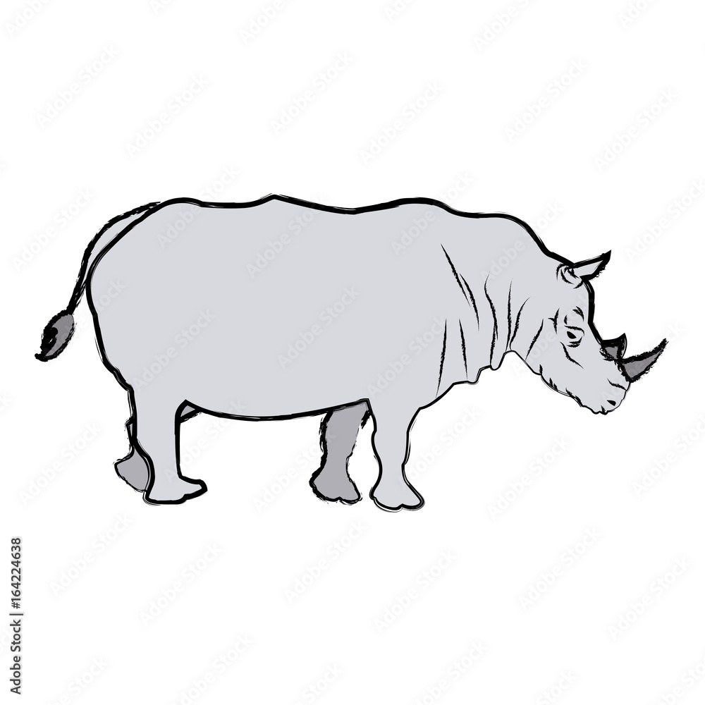 rhino wild animal africa exotic mammal rhino wild animal africa exotic mammal