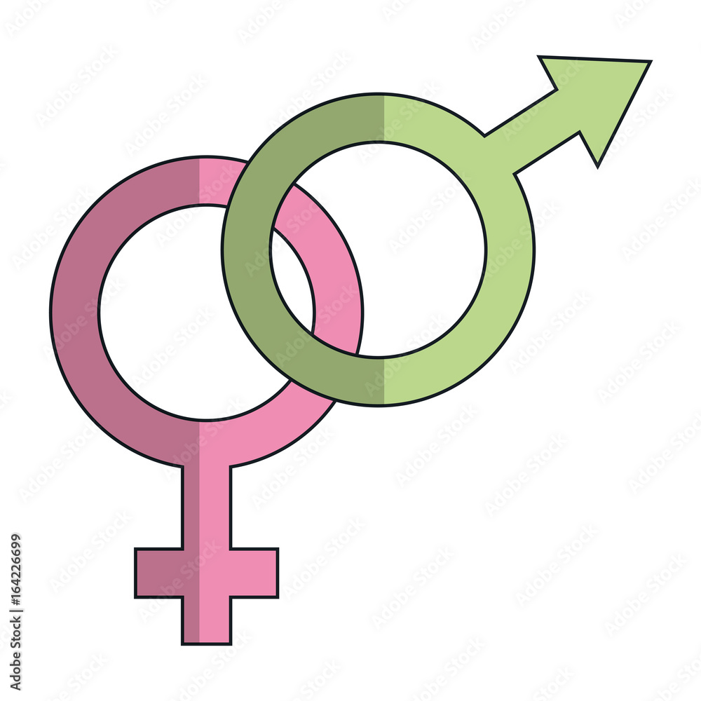 male and female symbol vector illustration design male and female symbol vector illustration design
