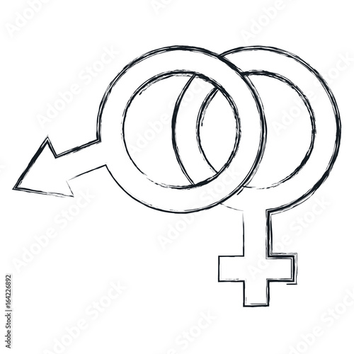 male and female symbol vector illustration design