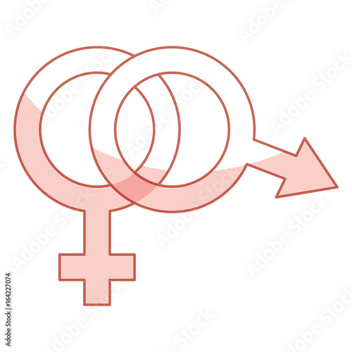 male and female symbol vector illustration design