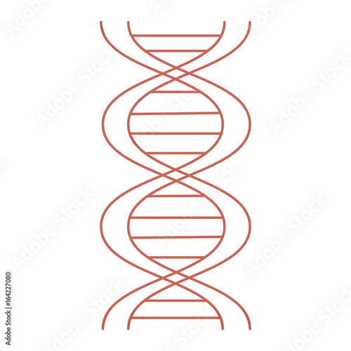 dna molecule isolated icon vector illustration design