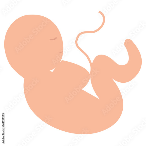 human fetus isolated icon vector illustration design