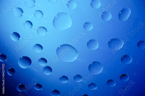 Water Drops On Blue Background. photo