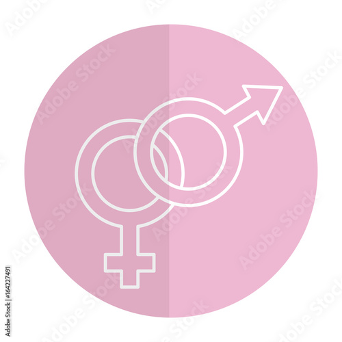 male and female symbol vector illustration design