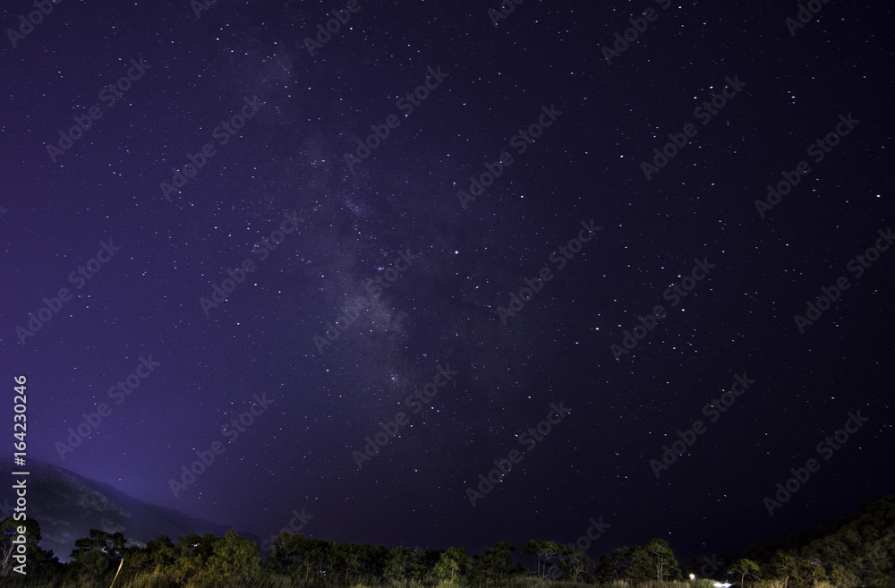 MILKY WAY MILKY WAY