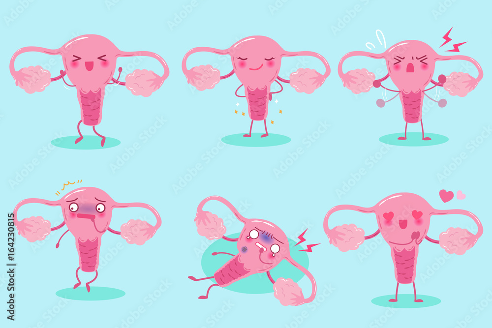 cute cartoon uterus