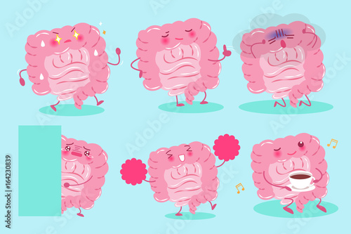 cute cartoon intestine