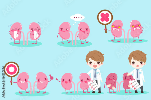 cartoon doctor with kidney