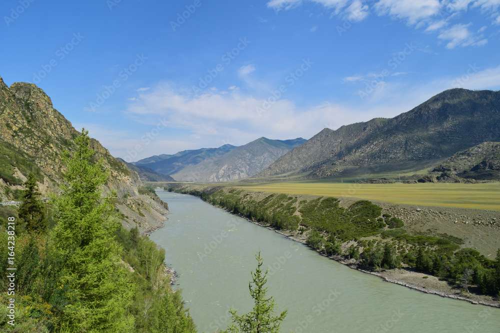 Katun river flows between hills in Altai mountains. Altay Republic, Siberia, Russia.