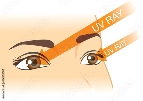 The difference of UVA and UVB from sunlight into eyes.. Illustration about medical and health.
