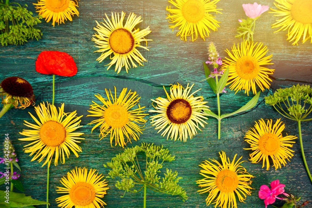 Grußkarte - Blumen - Flat lay Grußkarte - Blumen - Flat lay