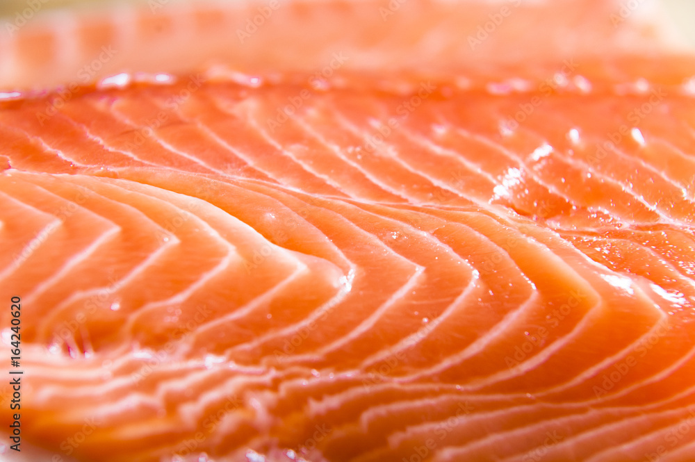 salmon fillet salmon fillet