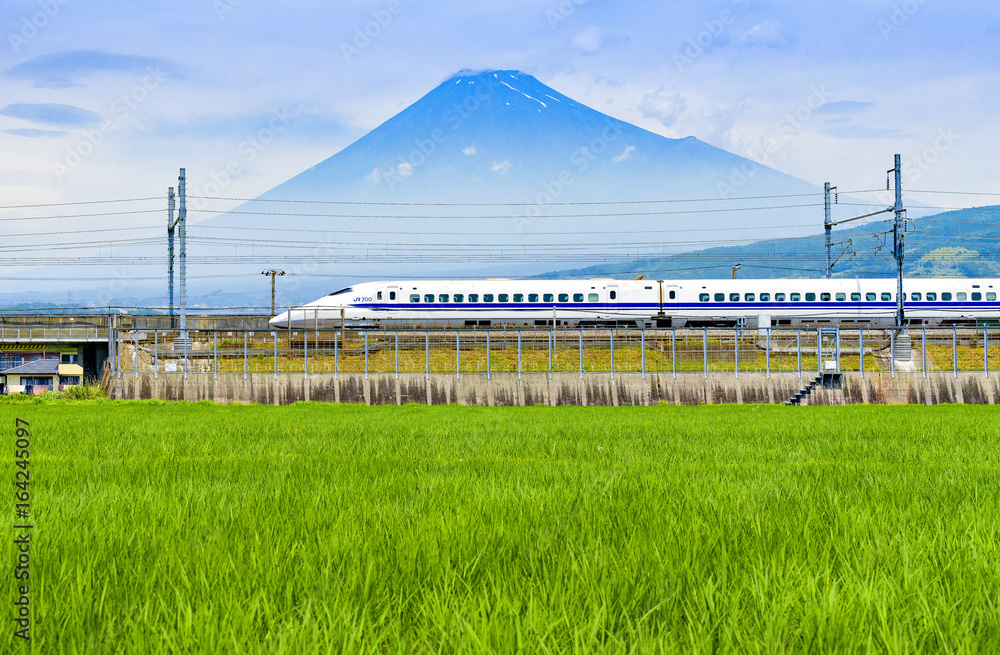 Bullet Train and Fuji Mountain with Rice Field Foreground at Fuji City, Shizuoka, Japan