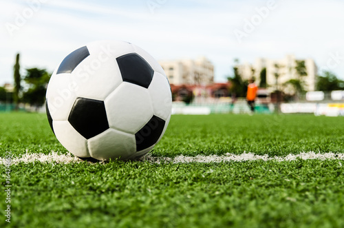 Soccer Football on the green grass of Soccer field. © ohmega1982