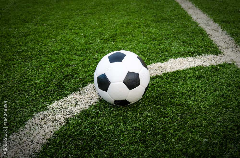 Soccer Football on the green grass of Soccer field. Soccer Football on the green grass of Soccer field.