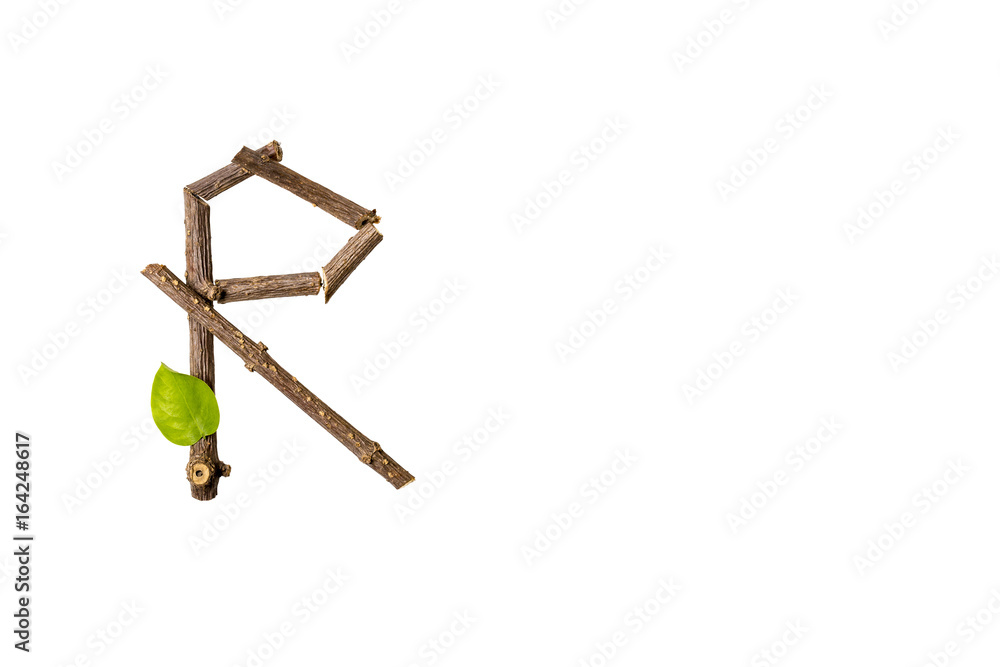 Nature letter R from twig and stick Nature letter R from twig and stick