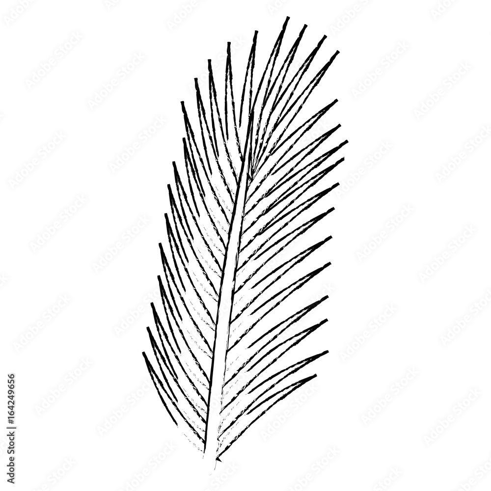 tropical leaf icon over white background vector illustration