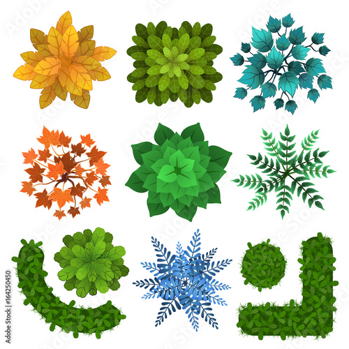 Set of different green trees, shrubs, hedges. Top view for landscape design projects. Vector illustration, isolated on white background.