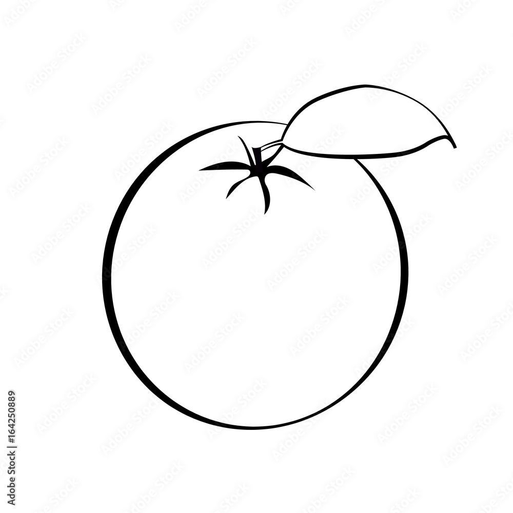 Oranges Black White Stock Illustrations – 1,123 Oranges Black