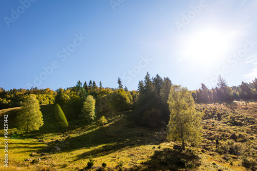 Black forest, trees and hills with sunshine