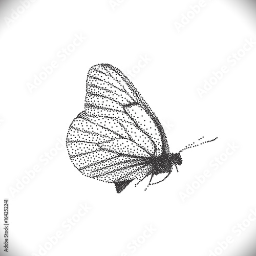 Aporia Crataegi Butterflies