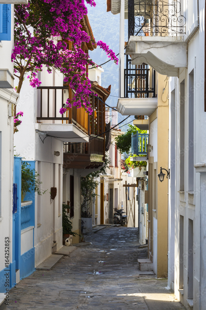 Street in the old town of Skopelos, Greece.
